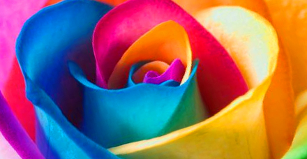 Как подобрать цвет одежды