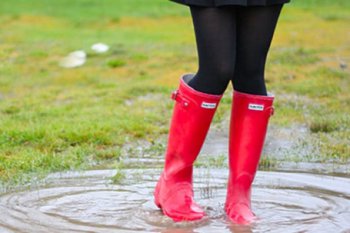 ��� ����� ����� ��� ������ ��������� �����